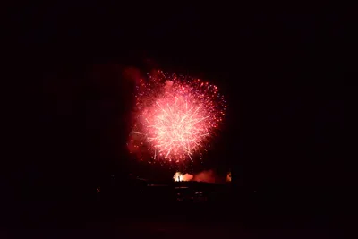 DSC_3439 (Large).JPG